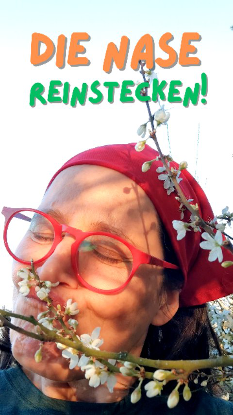 Die neugierige Lili hat in der Leinemasch die Schlehe, oder auch Schwarzdorn genannt, entdeckt. Und wie soll es anders sein, sie hat direkt mal die Nase reingesteckt.

#naturentdeckenmitkindern #hannoverentdecken #bluetenzauber #naturverliebt #bienenfreundlich
